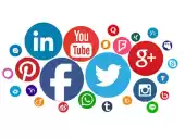 SEO Presence for Business